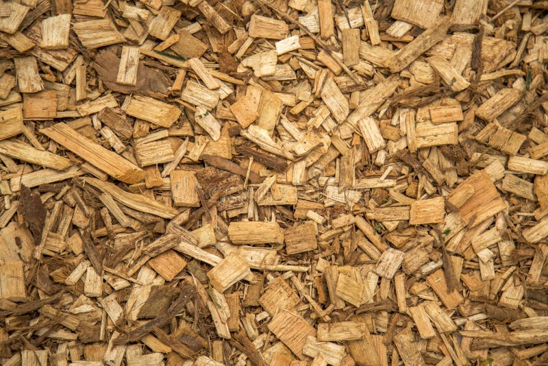 Sliver wood royalty free stock photo Sliver wood royalty free stock photo