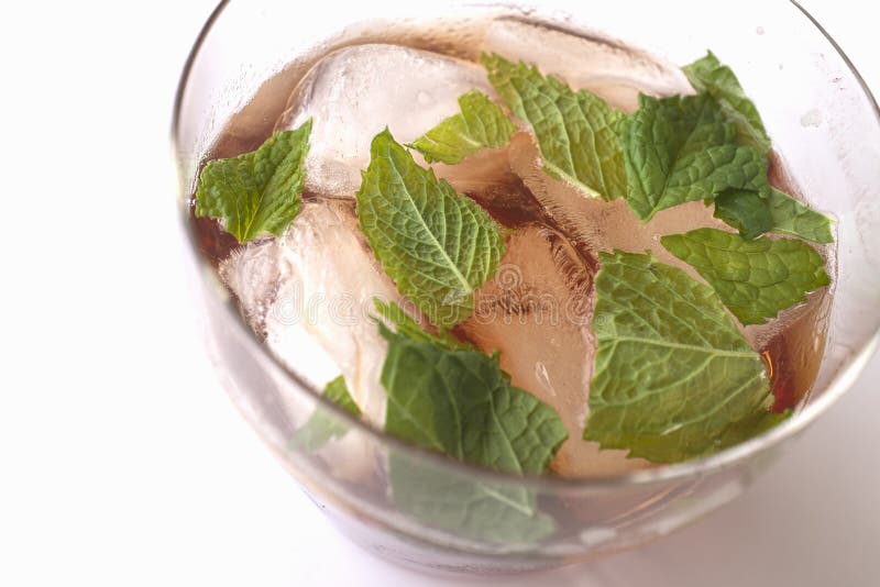 Sloe Gin Cocktail with Mint Leaves Stock Image Image of cocktail