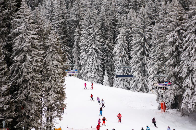 Slopes of winter touristic resort in Kopaonik, Serbia