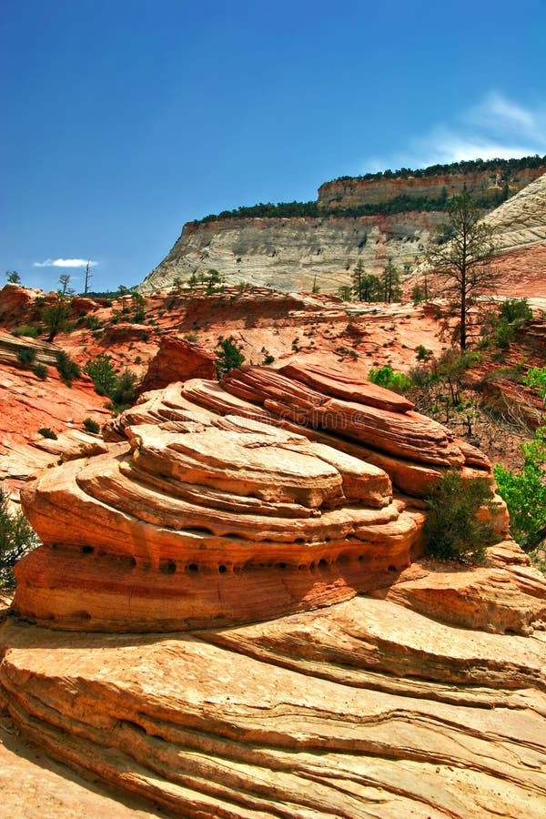 Slopes of Zion canyon. Utah. USA.