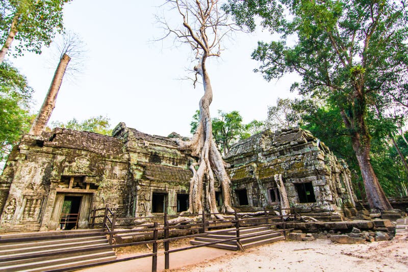 Slott för Ta Phrohm, lägeSiem Reap landskap Cambodja arkivbild Slott för Ta Phrohm, lägeSiem Reap landskap Cambodja arkivbild