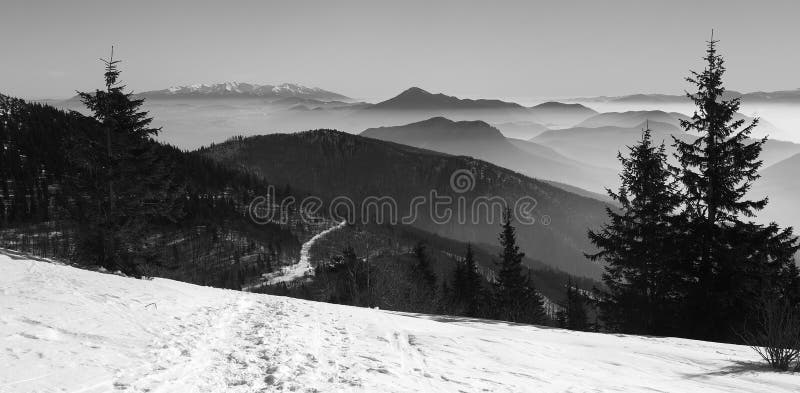 Slovak Landscape in the Winter