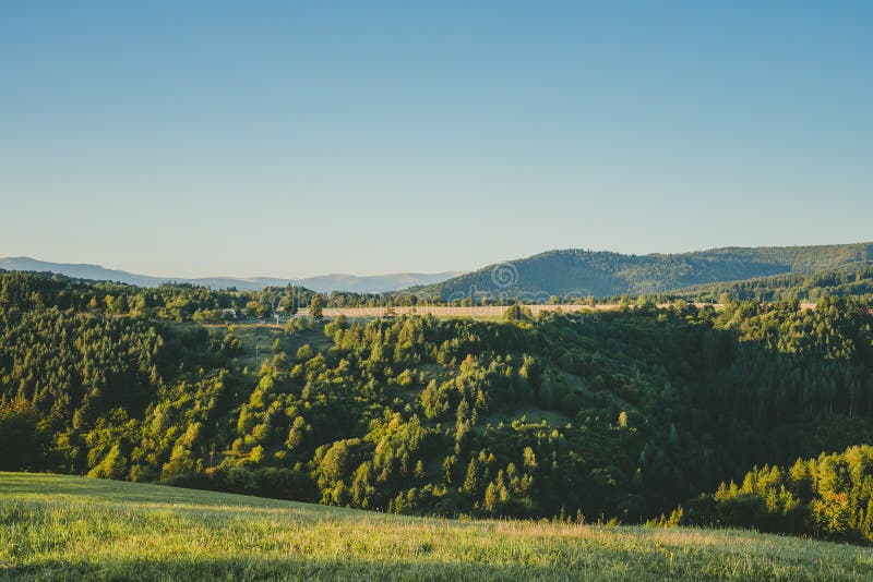 Countryside Landscape With Forest Meadows Hills