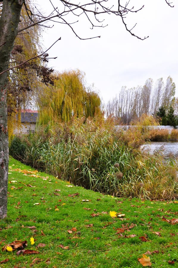 Slovak nature in autumn time stock image