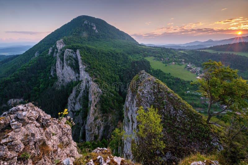 Slovakia forest summer panorama landscape with mountain at sunrise.