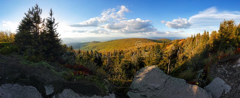 Slovensko hora - vrchol Vtáčnik s lesem