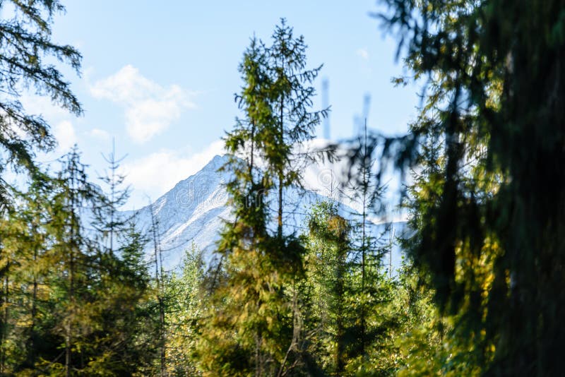 Slovenské Karpaty na podzim se zelenými lesy