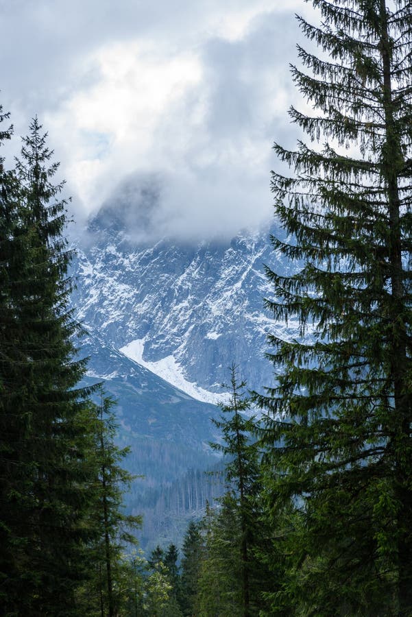 Slovenské Karpaty na podzim se zelenými lesy