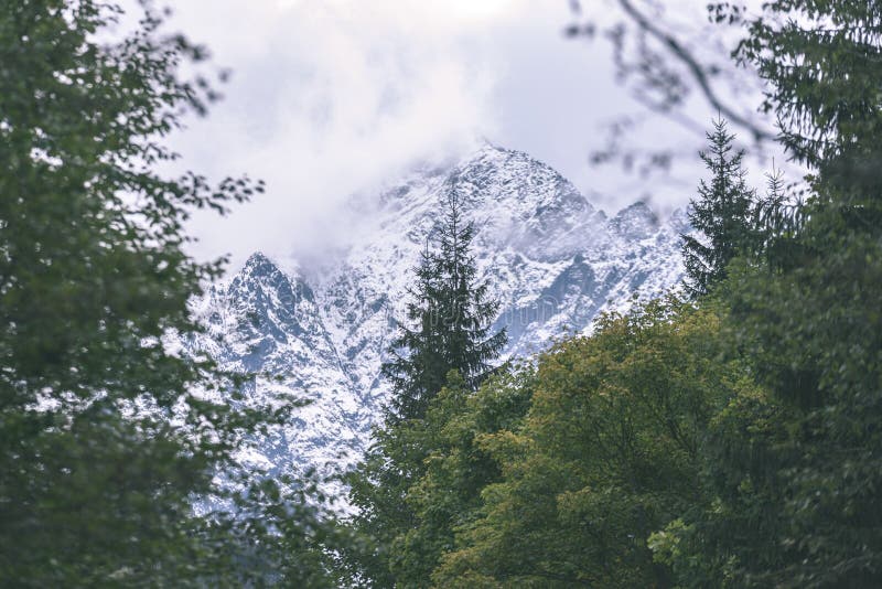 Slovenské Karpaty na jeseň so zelenými lesmi - vi