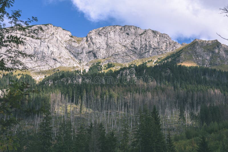 Slovenské Karpaty na jeseň so zelenými lesmi - vi