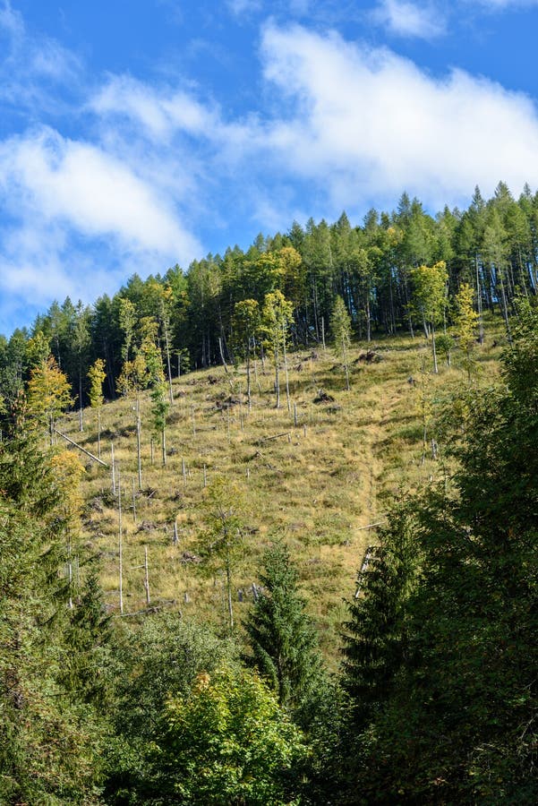 Slovenské Karpaty na jeseň so zelenými lesmi