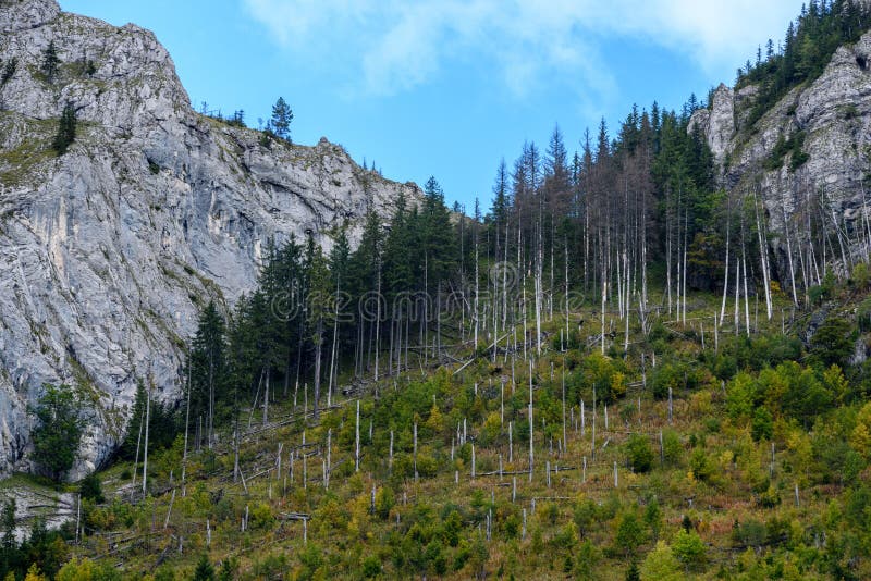 Slovenské Karpaty na podzim se zelenými lesy