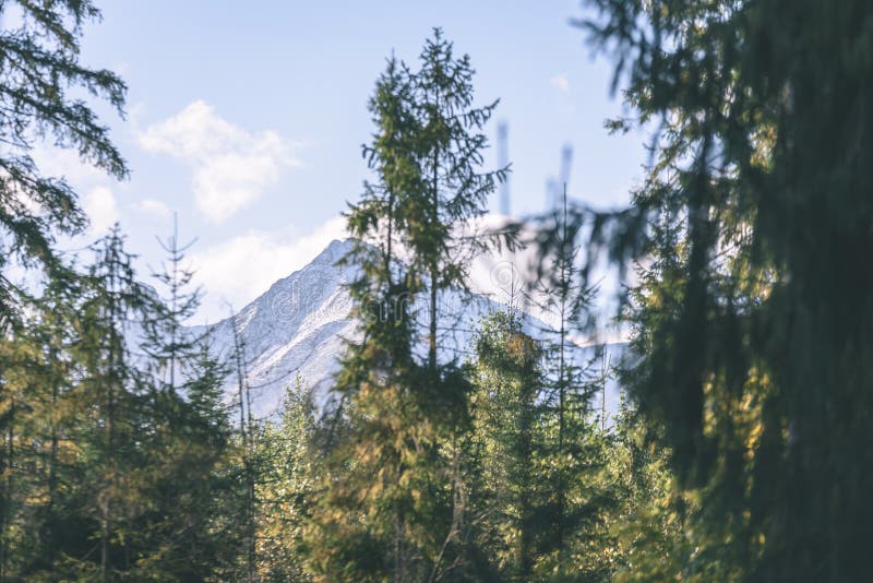 Slovenské Karpaty na jeseň so zelenými lesmi - vi