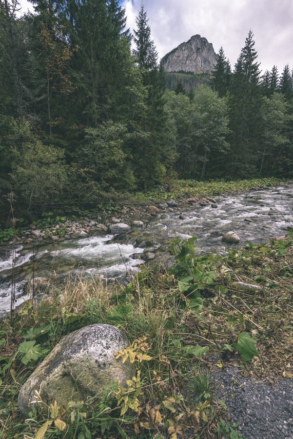 Slovenské Karpaty na podzim se zelenými lesy - vi