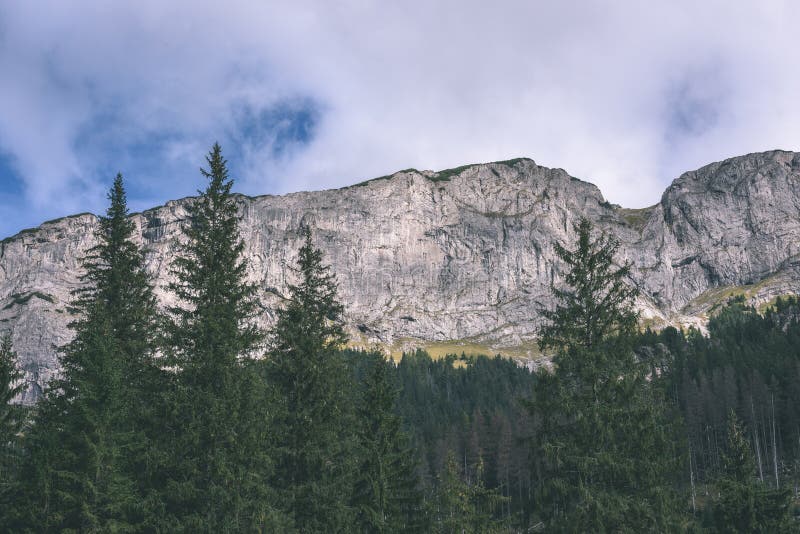 Slovenské Karpaty na podzim se zelenými lesy - vi