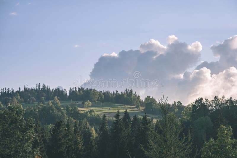 Slovakian carpathian mountains in autumn with green forests - vi