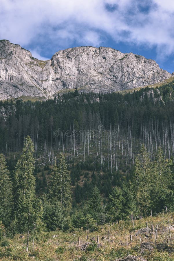 Slovakian carpathian mountains in autumn with green forests - vi