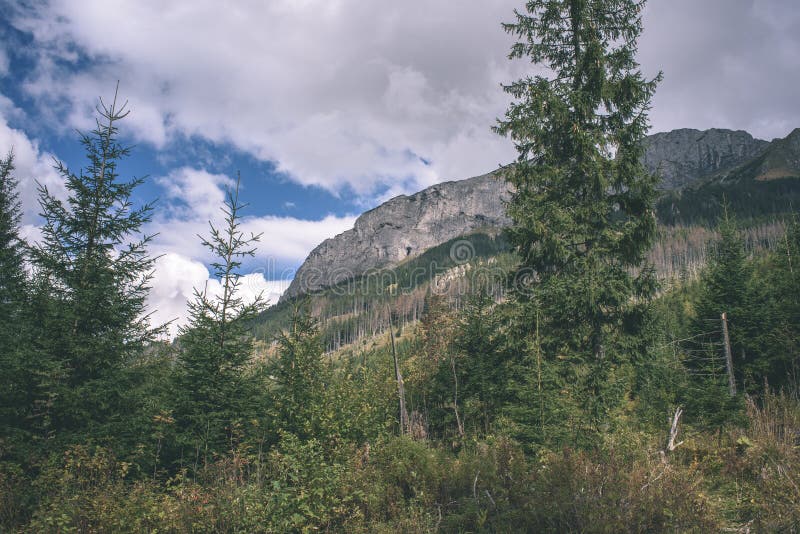 Slovakian carpathian mountains in autumn with green forests - vi