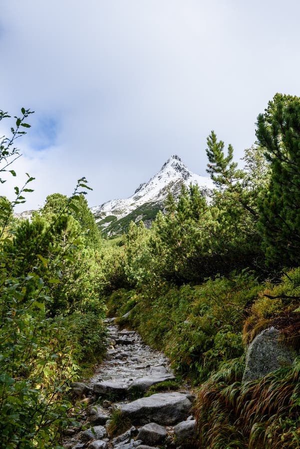 Slovenské Karpaty na jeseň. zelené kopce s vrcholmi