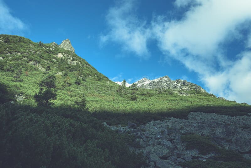 Slovenské Karpaty na jeseň. zelené kopce s vrcholmi