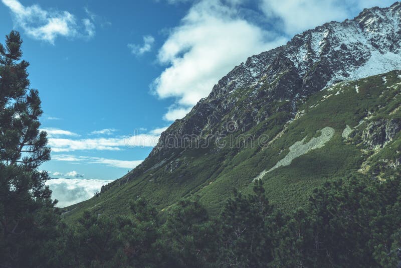 Slovenské Karpaty na jeseň. zelené kopce s vrcholmi