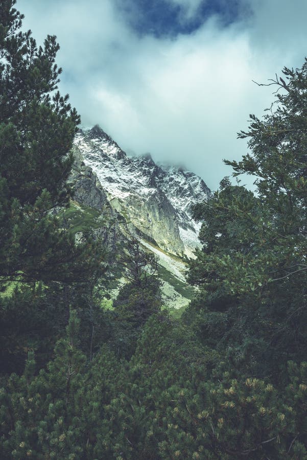 Slovakian carpathian mountains in autumn. green hills with tops