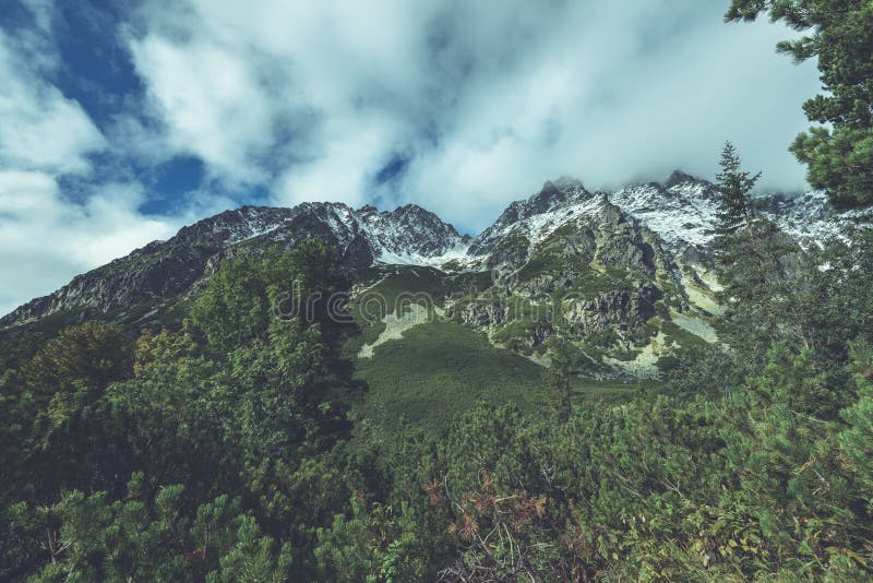 Slovenské Karpaty na podzim. zelené kopce s vrcholky