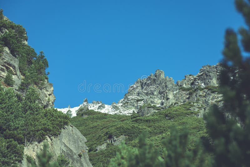 Slovenské Karpaty na podzim. zelené kopce s vrcholky