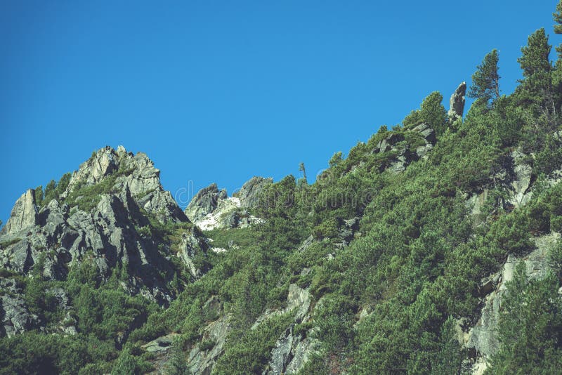 Slovenské Karpaty na jeseň. zelené kopce s vrcholmi