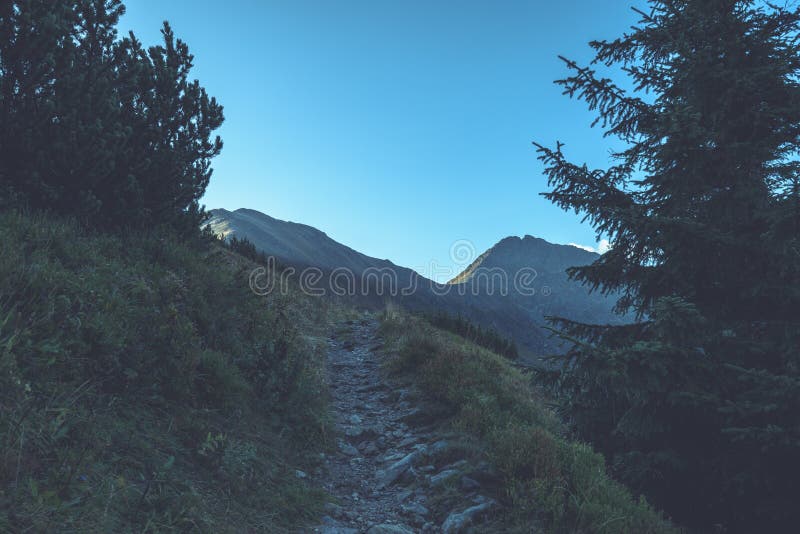 Slovakian carpathian mountains in autumn. hiking trail on top of