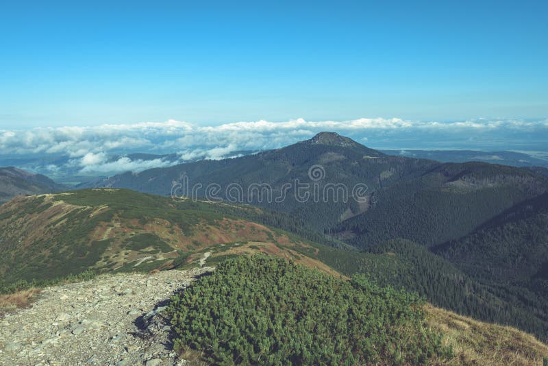 Slovenské Karpaty na jeseň. turistický chodník na vrchol