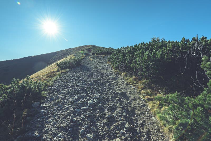 Slovakian carpathian mountains in autumn. hiking trail on top of