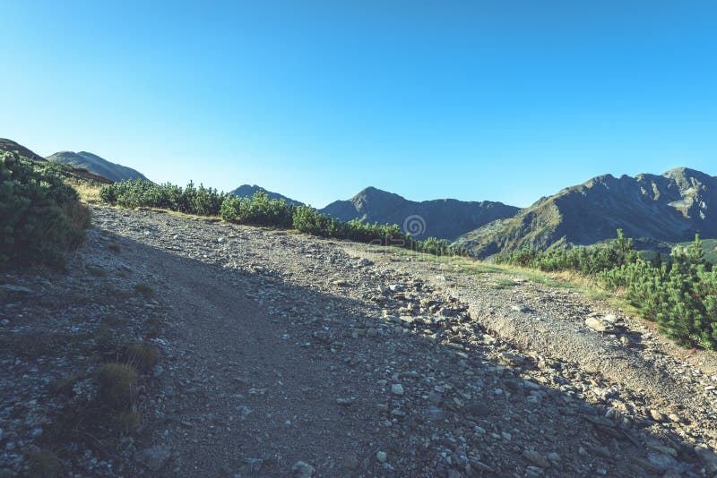 Slovakian carpathian mountains in autumn. hiking trail on top of