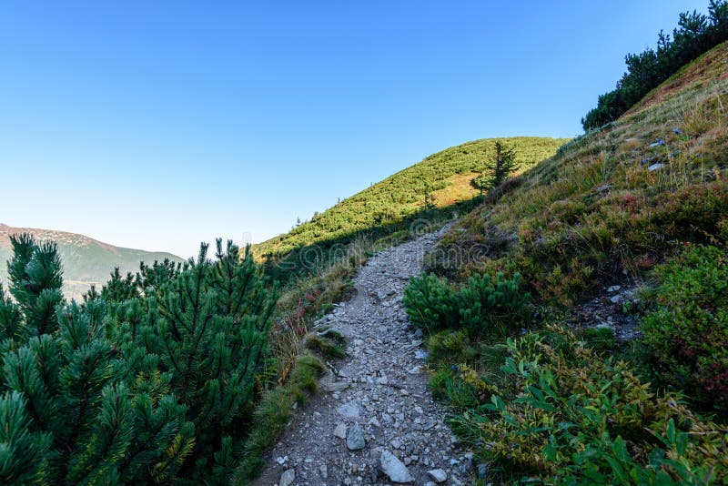 Slovakian carpathian mountains in autumn. hiking trail on top of