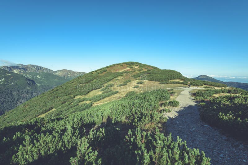 Slovakian carpathian mountains in autumn. hiking trail on top of