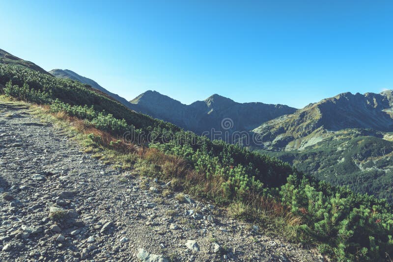 Slovakian carpathian mountains in autumn. hiking trail on top of