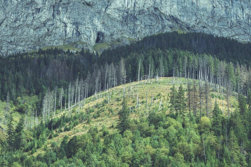 Slovenské Karpaty na podzim. skalní textury na stěnách