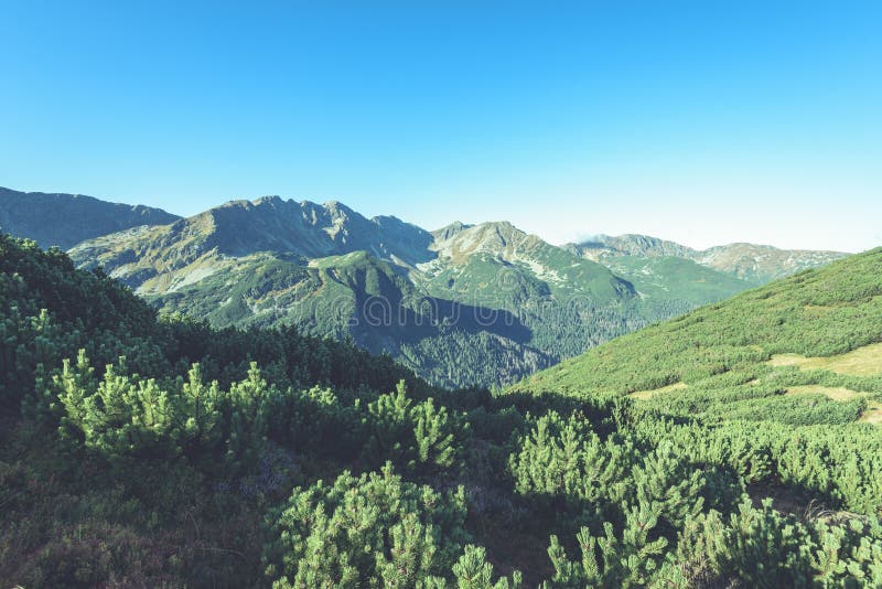 Slovenské Karpaty na podzim. slunné vrcholky kopců v součtu