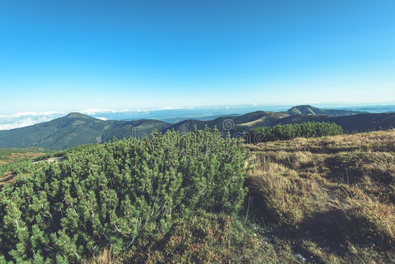 Slovenské Karpaty na jeseň. slnečné vrcholky kopcov v súčte