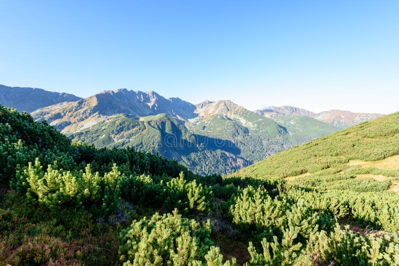 Slovenské Karpaty na podzim. slunné vrcholky kopců v součtu