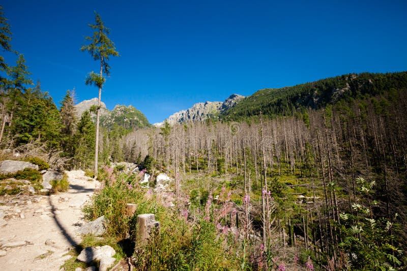 Slovakian Spiski lakes Tatry mountains