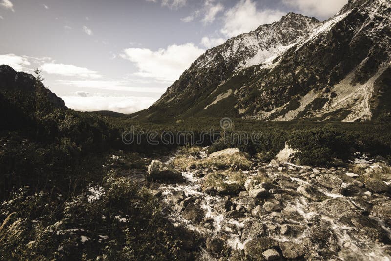 Slovakian tatra mountains in summer - vintage retro look