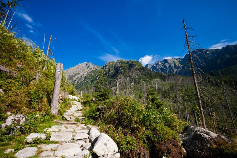 Slovenská Velká Studená Dolina Tatra