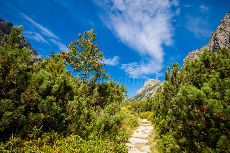 Slovenská Velká Studená Dolina Tatra