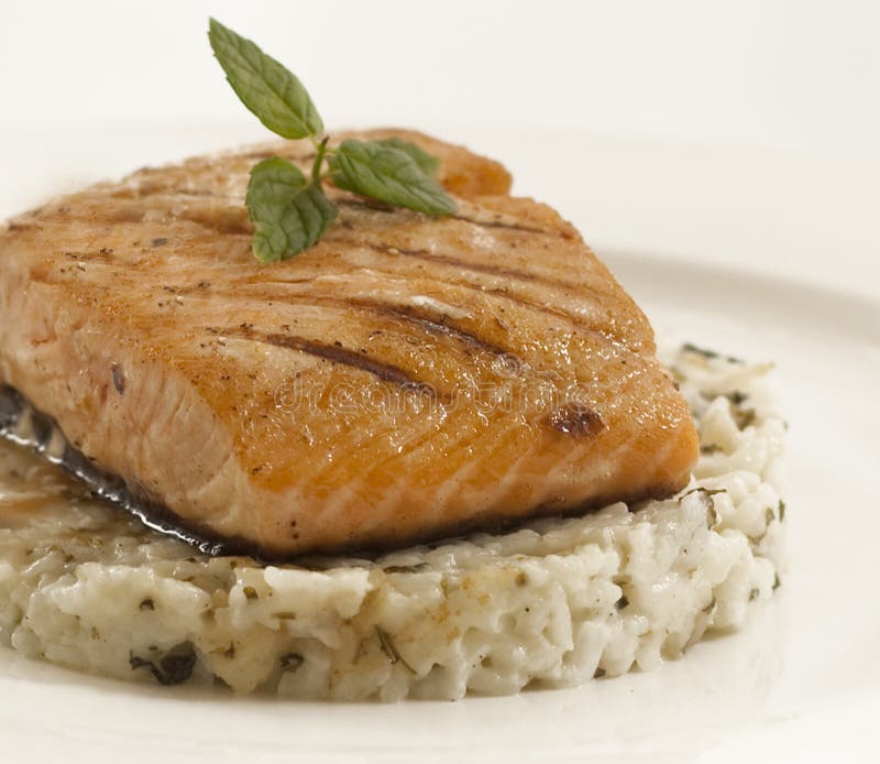 Salmon Fish on Zizania Wild Rice Stock Image - Image of deep, dining