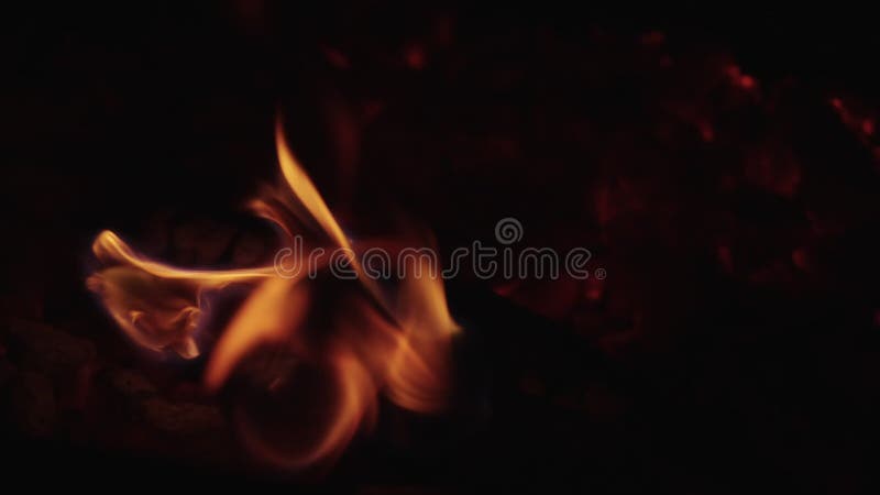 Slow motion campfire burning wood stock video