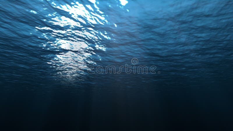 Underwater low motion looped ocean scene