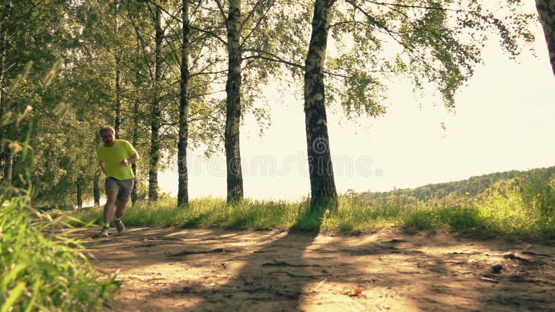 Runner stumbling and twisting his ankle on the forest road while running