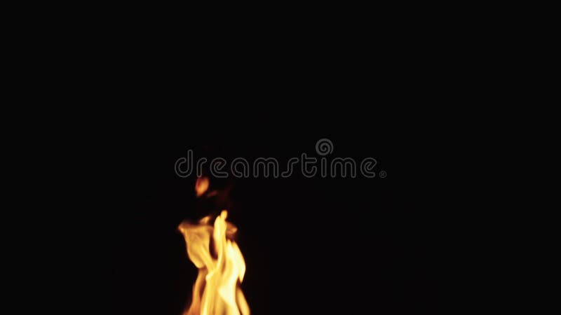 Slow motion shot of fire flames of campfire over black background, for overlay stock video