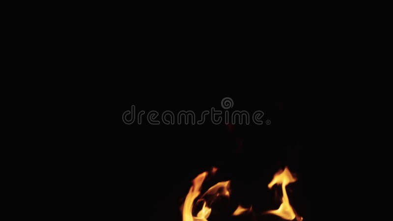 Slow motion shot of fire flames of campfire over black background, for overlay stock footage